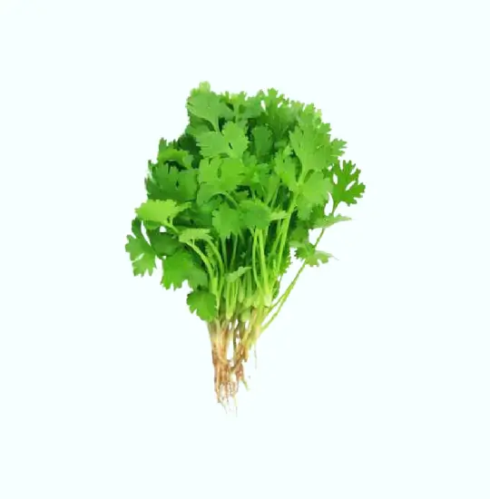 Fenugreek Leaves